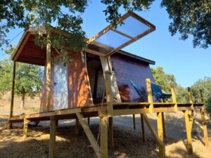 Cabin - Limoeiro - Exterior View